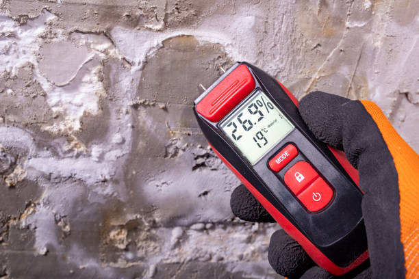 Best Local Mold Removal Service  in Janesville, MN